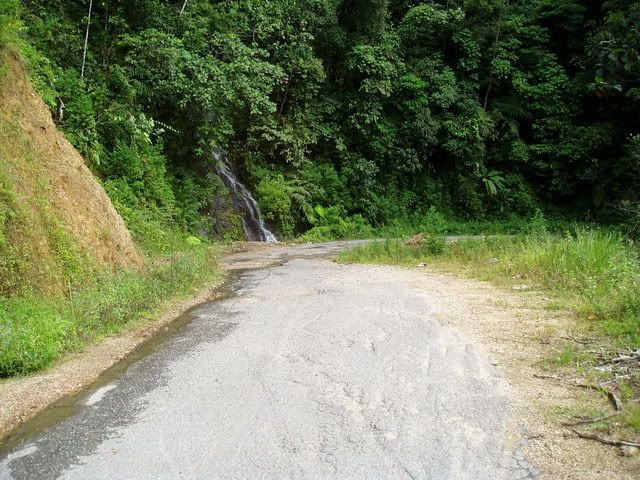 Melintas Taman Nasional Kerinci Seblat Sungai Penuh Kayu Aro Gunung